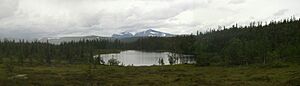 Björnskalletjärn