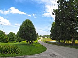 Bowman Loop Road in Bowman