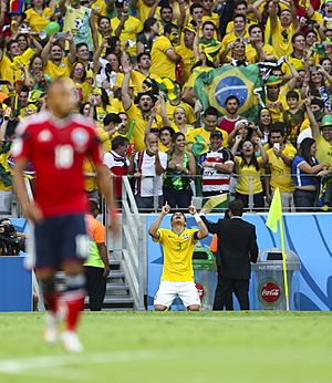 Brazil and Colombia match at the FIFA World Cup 2014-07-04 (3)