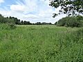 Bugg's Hole Fen 2
