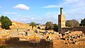 Chellah landscape