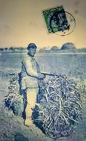 Chinese Peasant ca 1909. - 1090198~3