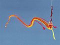 Chinese dragon kite (Berkeley, California - 2000)