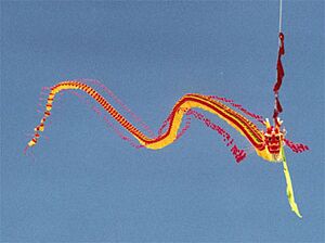 Chinese dragon kite (Berkeley, California - 2000)