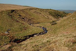 Dobbingstone Burn - geograph.org.uk - 1291882