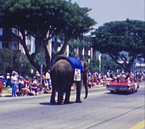 Elephant in the Brentwood Parade