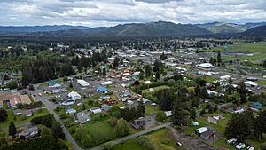 Aerial view of Forks