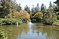 Friendshipgarden