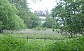 Gromford Meadow, Snape cropped
