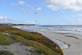 Half Moon Bay State Beach 1 2018-07-09