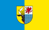 Flag of Mecklenburgische Seenplatte