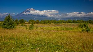 Kamchatka DSC 9491-1 (15401614431)