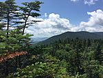 At Killington View on the Long Trail in the Breadloaf Wilderness in the Green Mountain National Forest