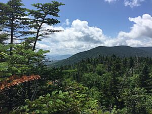 Killington View Breadloaf Wilderness Vermont 2019