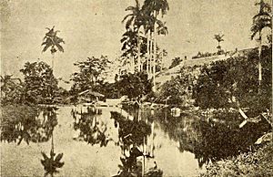 Manatial Bello, Matanza, 1880