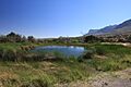 Manzanita Spring in Guadalupe Mountains National Park