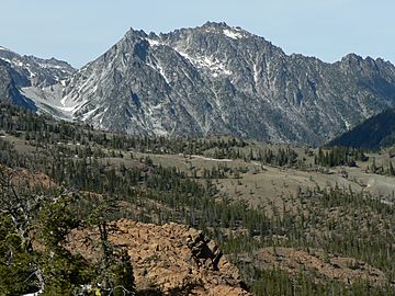 McClellan Peak 15805.JPG