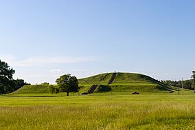 Monks Mound - Summer 2024.jpg