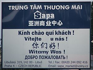 Multilingual Pisnice 1858