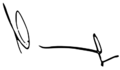 Mykola Azarov signature