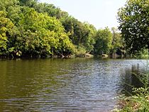 Newport-pigeon-river-tennessee