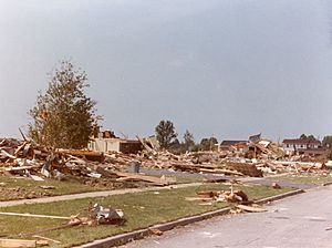 Newton Falssa Damaged homes 1985-05-31