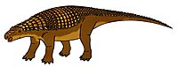 Nodosaurus 500 TWA.JPG