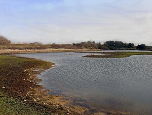 Old Sand Pit at Shellingford (geograph 2284796)