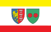 Flag of Bielsko-Biała