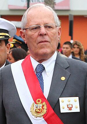 PPK en 2017 (cropped)