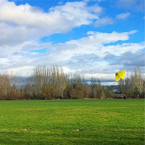 Parachute Practice at Magnuson Park in Seattle