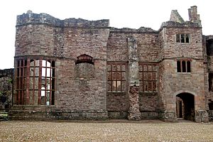 Partly-restored windows facing the Pitched Stone Court, Raglan Castle - geograph.org.uk - 1531734