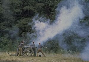 Petersburg-NB-reenactors