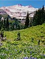 Plummer Mountain from Suiattle Pass