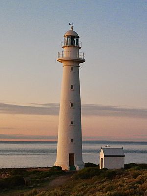 Point Lowly Lighthouse.jpg