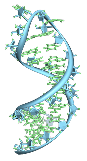 Pre-mRNA-1ysv-tubes