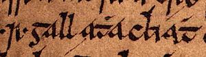 Ragnall mac Torcaill (Oxford Bodleian Library MS Rawlinson B 488, folio 23r) 2