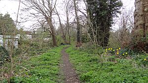 Ravensbury Park 4