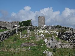 Roscam Early Medieval Ecclesiastical Site 2.JPG