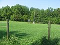 Shenandoah Crash Site 1