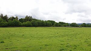 Staden Low Enclosure
