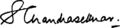 Subrahmanyan Chandrasekhar signature