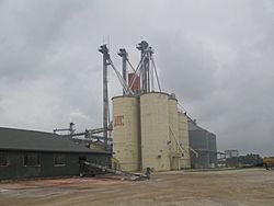 Tubbs Rice Grain in Pioneer