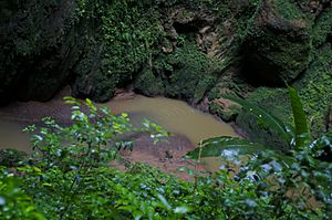 Underground river in Camuy, Puerto Rico