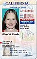 Vertical California Drivers License