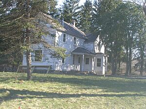 Wahl House Swedish Historic Farmstead