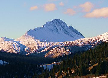 Wilcox Peak in Jasper Park.jpg