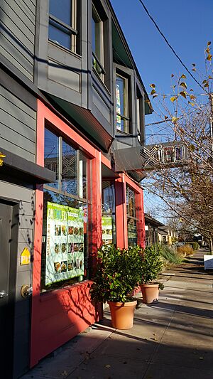 Xico, Portland, Oregon, 2020 - 2