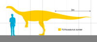 Yizhousaurus Scale.svg