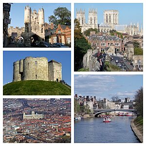 York Montage 2022.jpg